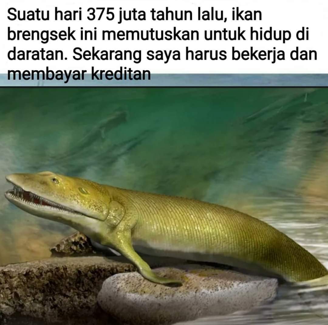 Magma Roze 🔩| HaruComrade tweet media