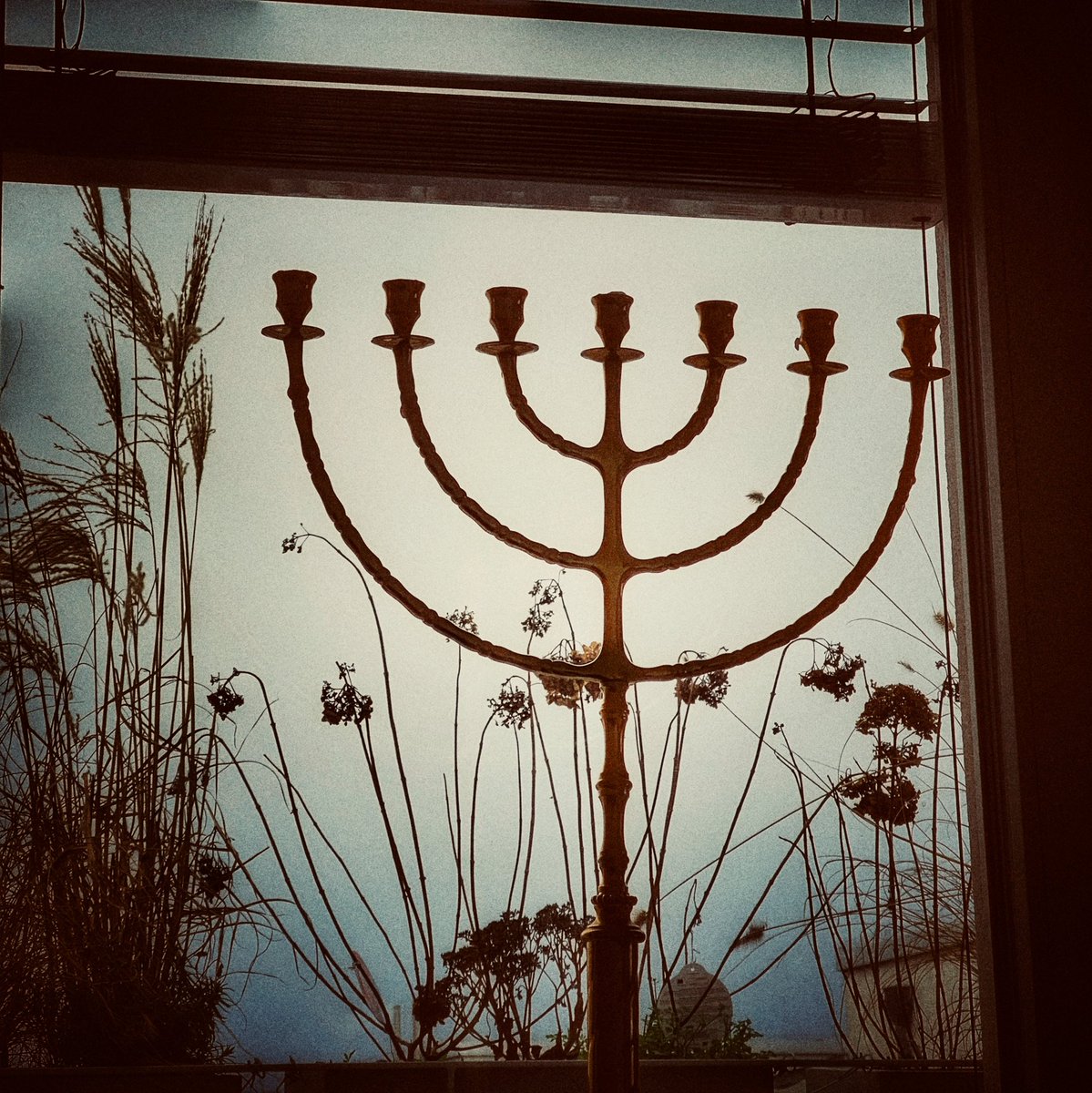 #LichtZeigen <a href="/yadvashem/">Yad Vashem</a> #WeRemember