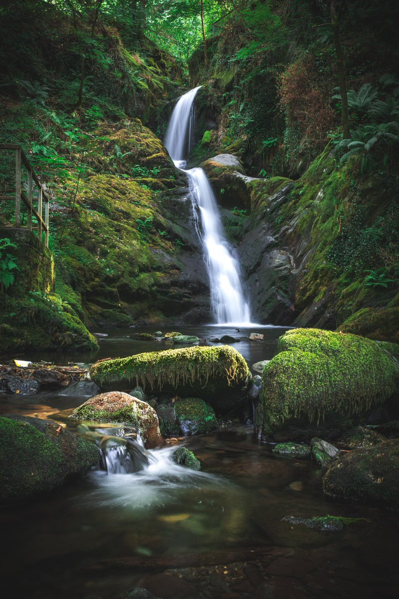 Ben Horder tweet media