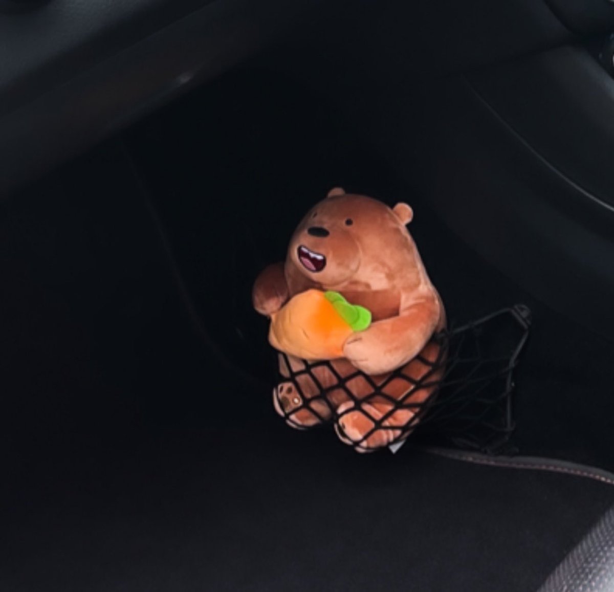 Just want you guys to know that Grizz from the Bare Bears lives in my car