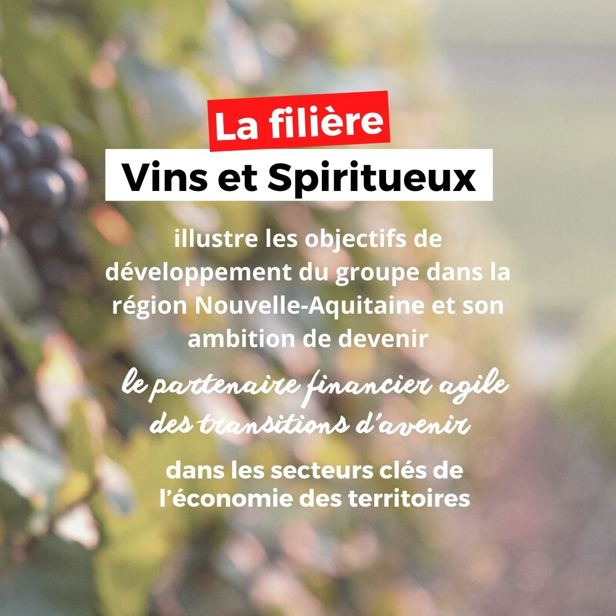 👉 Portée par la fédération du <a href="/CMSudOuest/">CMSudOuest</a> et Arkéa Banque Entreprises et Institutionnels, avec l’appui des directions centrales et d’autres filiales du groupe, cette filière spécialisée repose sur une véritable dynamique collective.⏩Lire le communiqué : bit.ly/filierevins