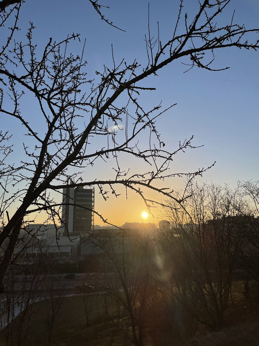 anthonito4u's tweet photo. Valladolid se despierta con un sol espléndido bajo los restos de una tremenda helada.
#Pucelacity https://t.co/wkgNrCI810