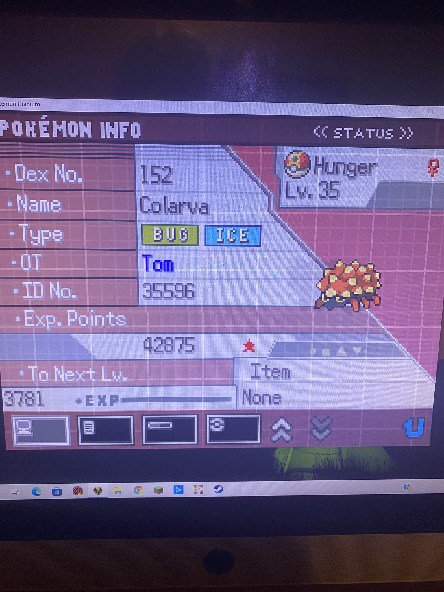 Tom Shiny Colarva After 670 Random Encounters In Uranium With Shiny Charm 58 194 Pokemon Shinypokemon Colarva Pokemonuranium T Co Pepywfhuij Twitter