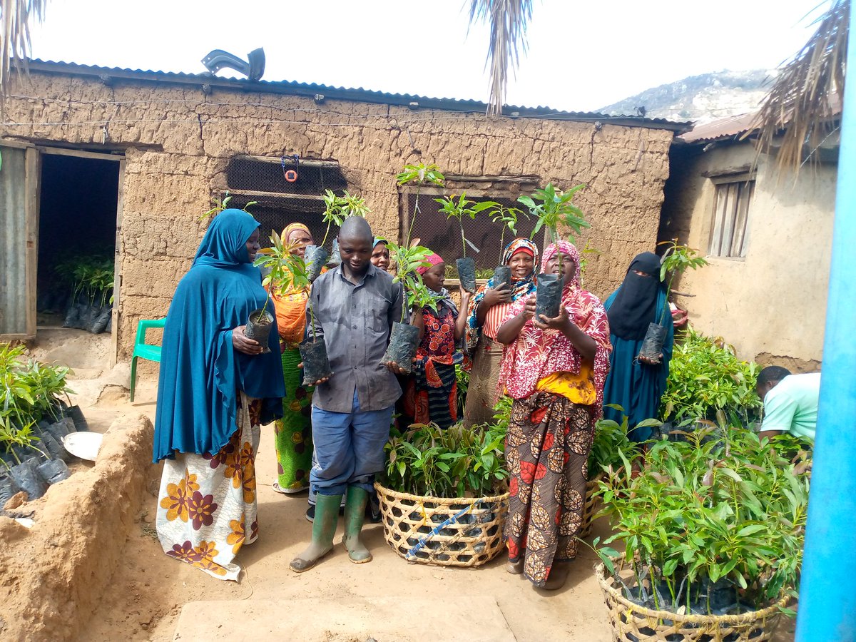 It is out planting time.
<a href="/ClintonFdn/">Clinton Foundation</a> supported farmers are very happy to take their trees seedlings from nurseries to fields after waiting the rain for some days, thanks <a href="/Treesftf/">Trees for the Future</a> for the good collaboration.
