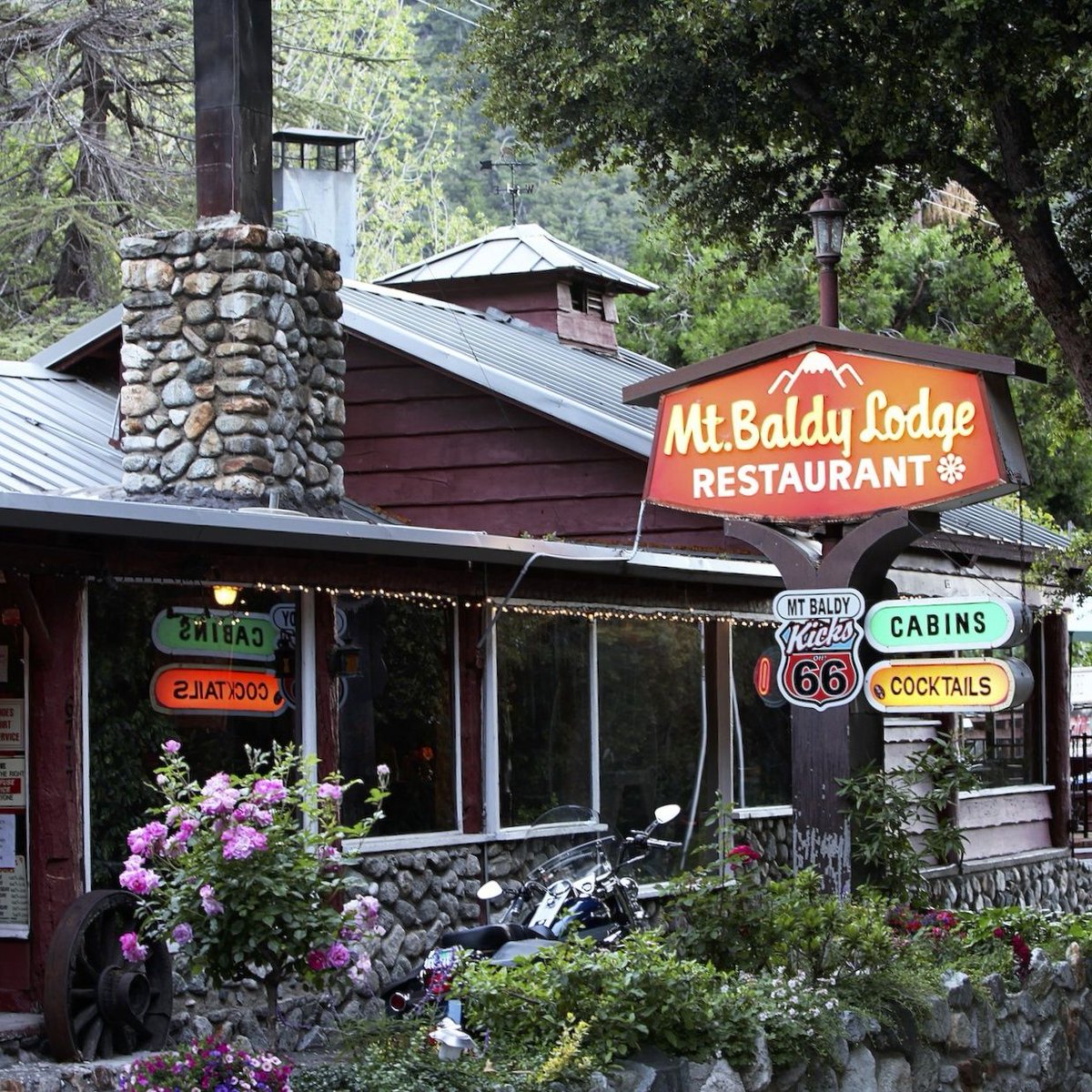 Roth Army tweet media