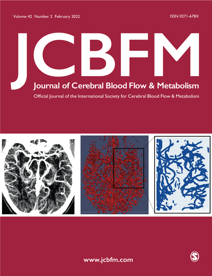 Nerea Arrarte published her paper and made it to the front cover of the Journal of Cerebral Blood Flow &amp;Metabolism. Congratulations to all authors! INSIST received funding from the EU H2020 research and innovation programme under grant agreement No 777072 #H2020 #INSIST