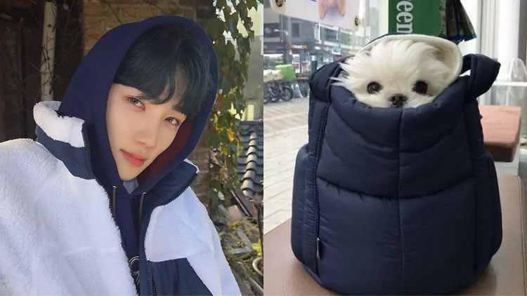NLC426's tweet photo. 인스타에서 진짜 귀여운 거 봤어ㅠ https://t.co/Zrf7zonWJU
