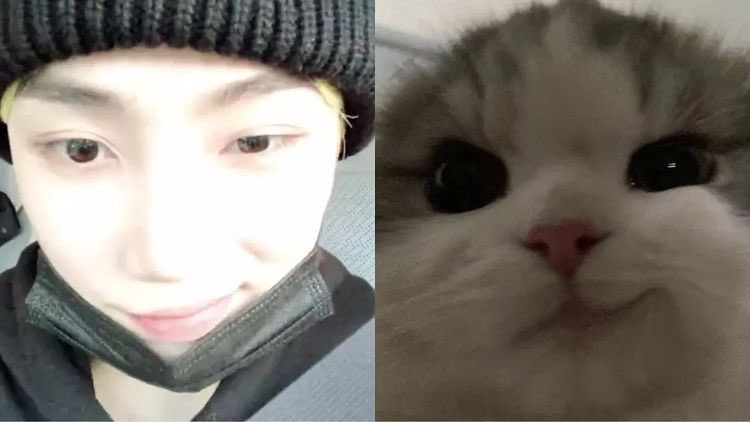 NLC426's tweet photo. 인스타에서 진짜 귀여운 거 봤어ㅠ https://t.co/Zrf7zonWJU