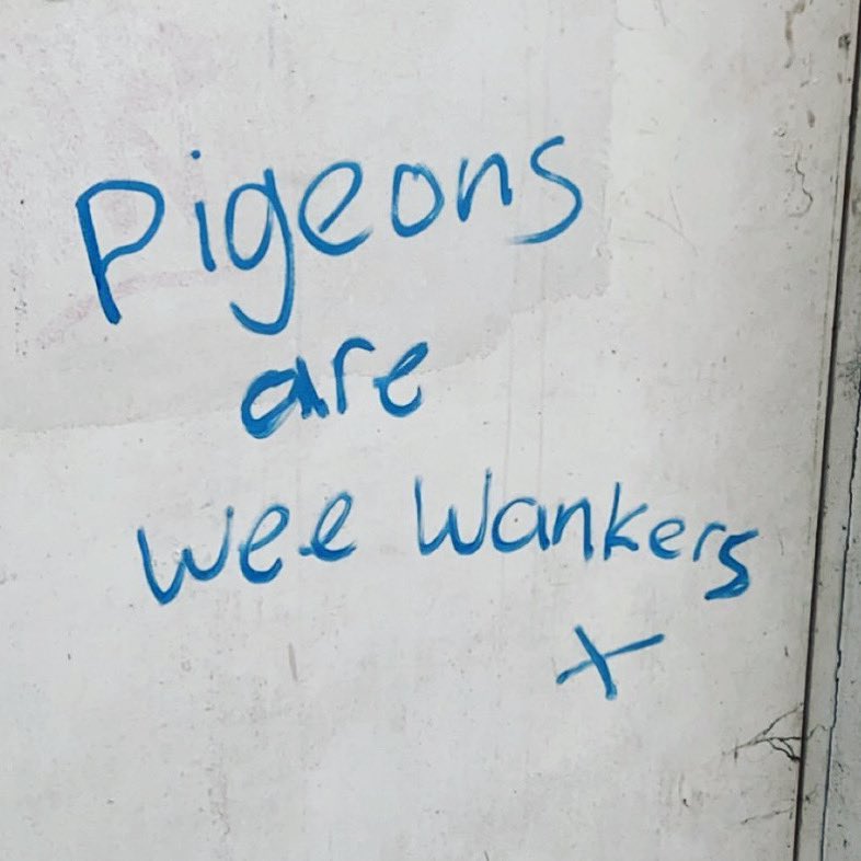 GraffitiOfNI's tweet photo. People say pigeons are the rats of the sky, but surely seagulls are way worse. Anyway, has anyone ever seen a baby pigeon? Nope, me neither. 🐦🐭

Spotted near Muddlers, Belfast by Erica Whitford

#graffiti #graffitibelfast #graffitinorthernireland #belfast #northernireland https://t.co/m2pK8YTxDL