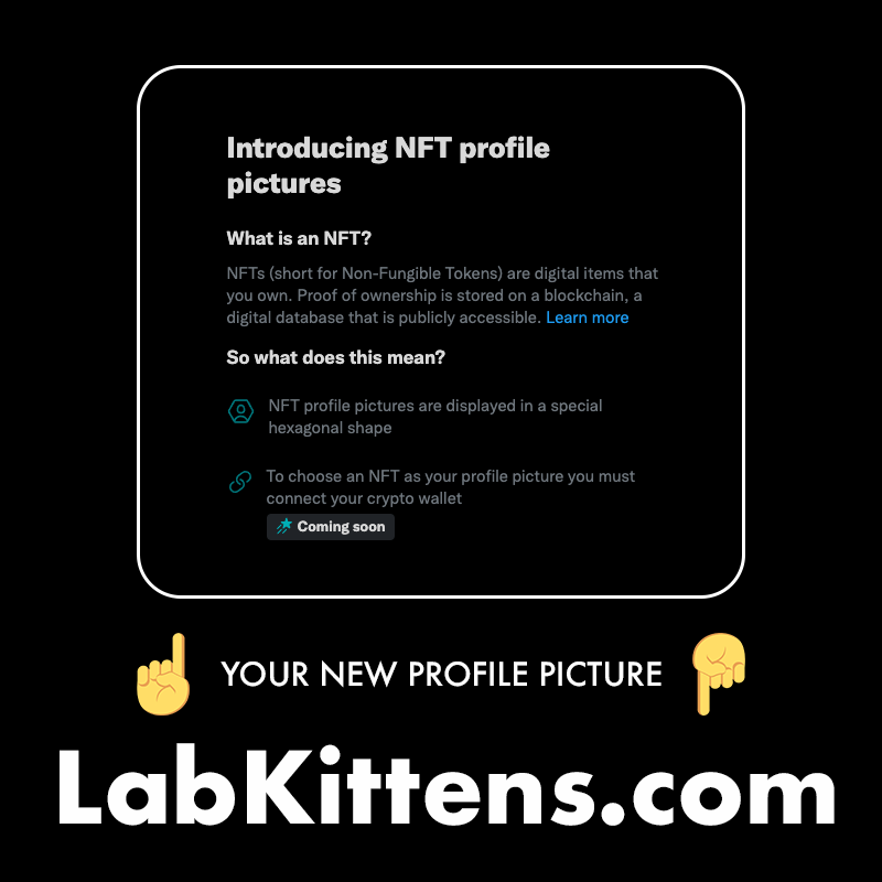 LabKittens tweet picture