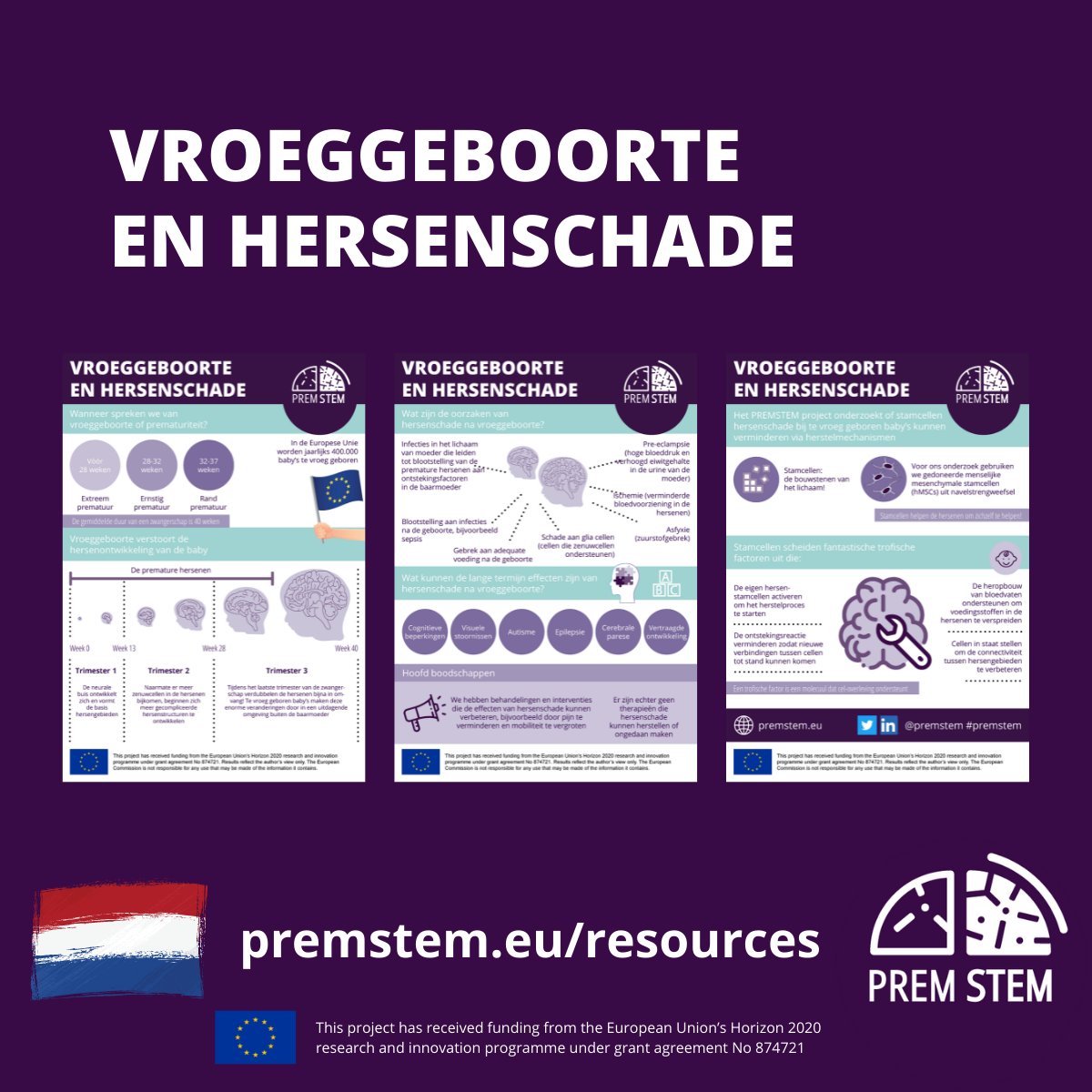 Kan vroeggeboorte de hersenontwikkeling verstoren? Kunnen stamcellen helpen om hersenschade in te vroeg geboren baby’s te behandelen? Download de #premstem fact sheet over vroeggeboorte en hersenschade in het #Nederlands om meer te weten te komen!

➡️ premstem.eu/resources/