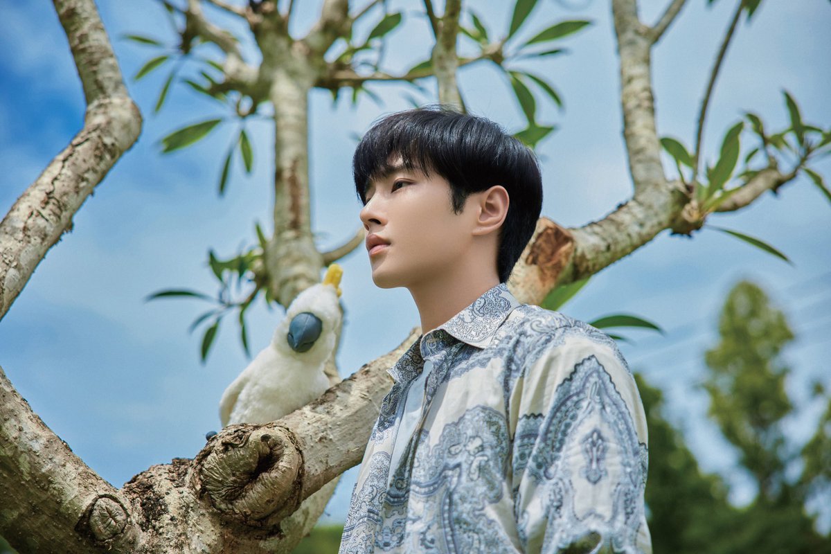 Li Wenhan Updates (rest) tweet media