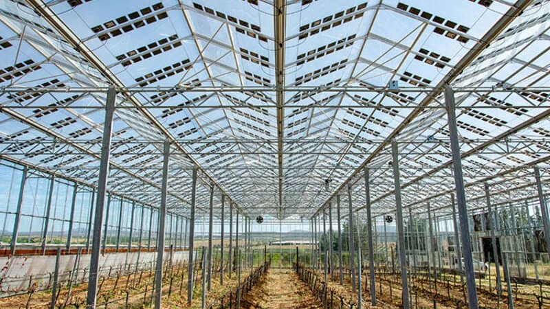 La #agricultura mira al sol para aumentar su producción y reducir emisiones ☀️
#agrovoltaica #autoconsumo
bit.ly/3KLtJbv