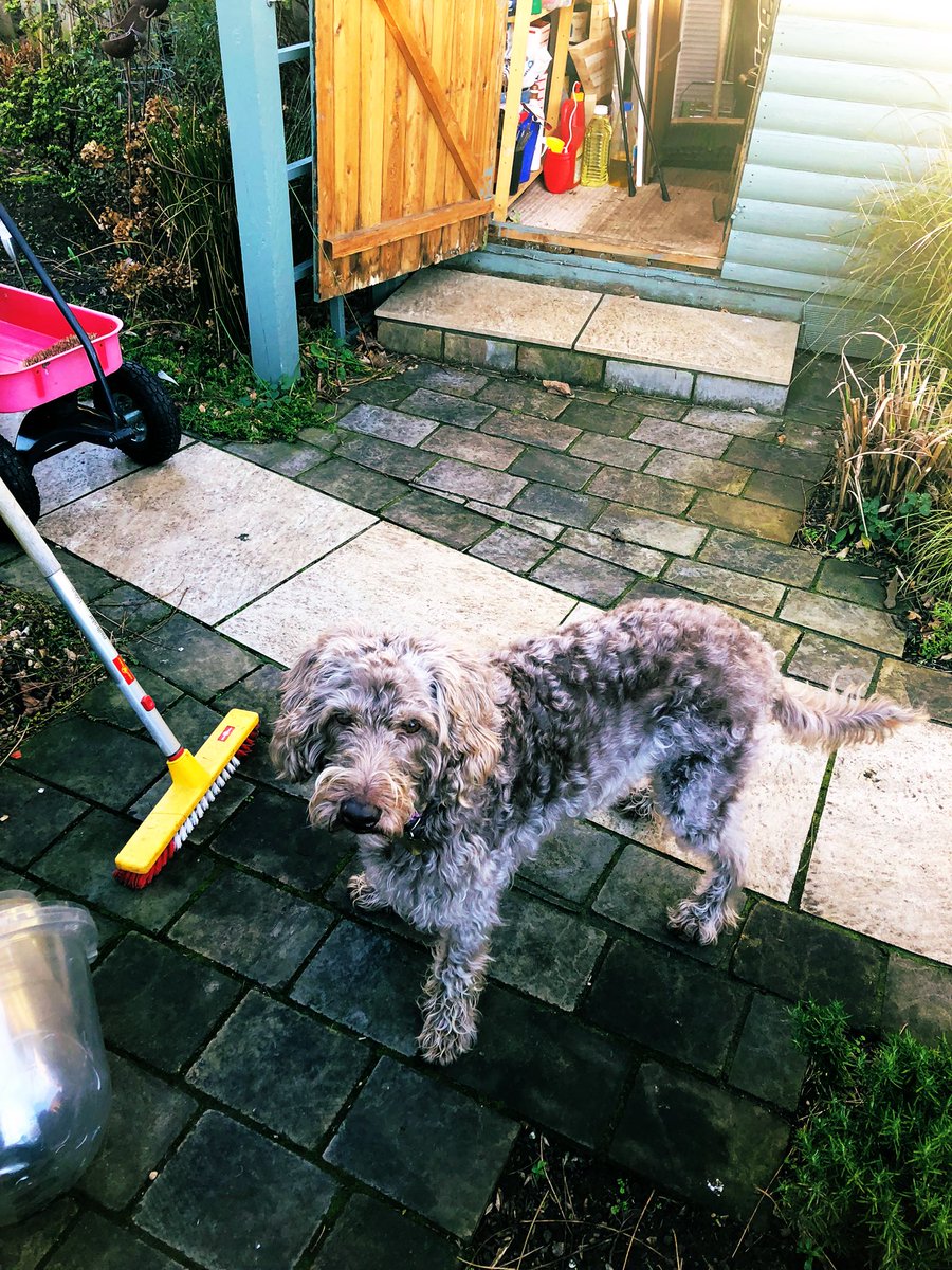 Allison Tait tweet media