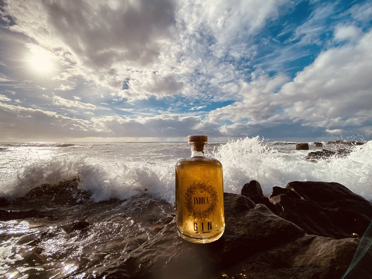 IndicaPremium's tweet photo. Indica Gin.
#NaEnjoyment
#HighOffLife https://t.co/XVHe5lGtuW
