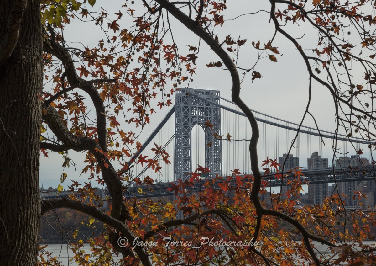 Jason Torres tweet media