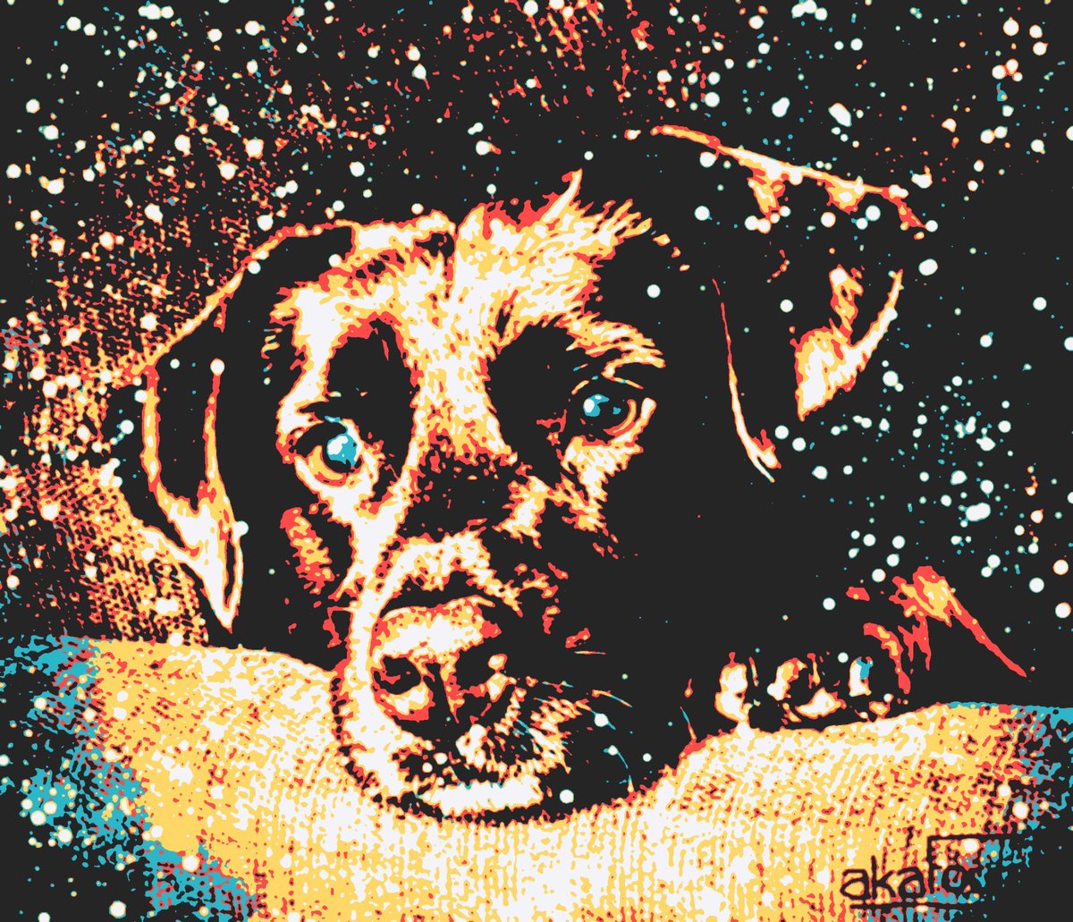 akaFoley's tweet photo. Several DigiDawgs still seek adoption...

"Flavored Snow" .075E
https://t.co/kfHMXtHEAG
#NFTs #doglovers #photography https://t.co/kJTdtH4RsG
