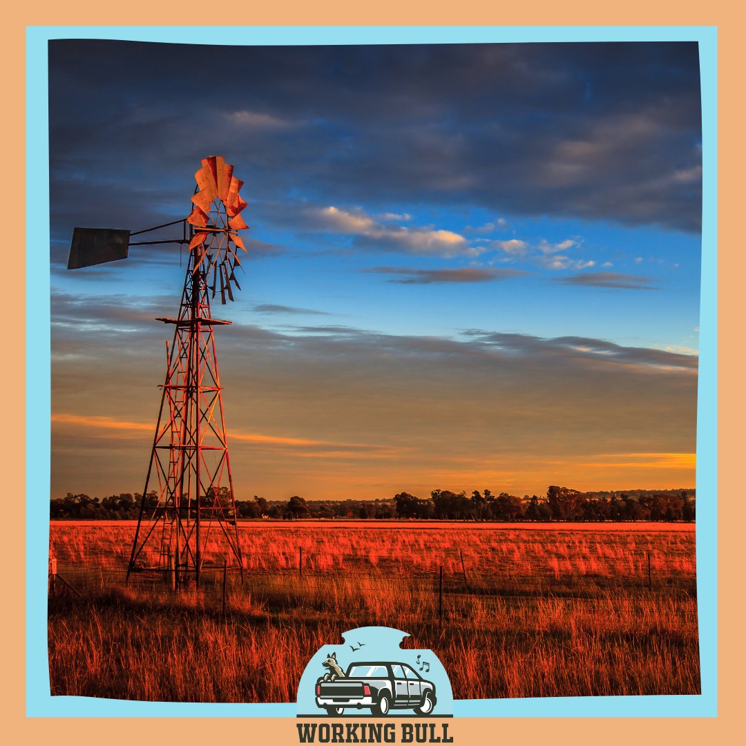working_bull's tweet photo. Not a bad view πππ
Annnnd for those who have a sibling, will get it .... "WINDMILL" πππ
Fun, Friendship, Country
https://t.co/4LaE8894gz
#CountryLife #countryliving #windmill #Australianoutback #Australianfarming #agriculture #workingbull https://t.co/hDTKxW24gn