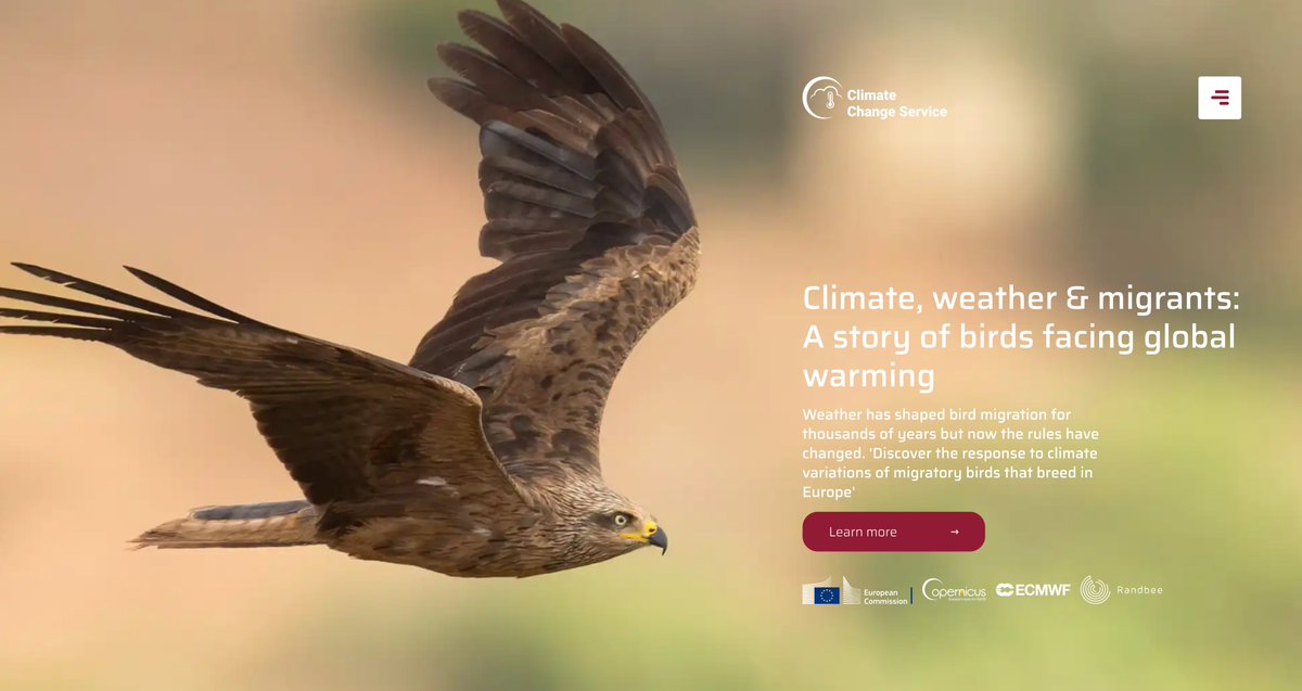 #Copernicus for migratory birds🐦

Migratory #birds could be used to identify the environmental consequences of #ClimateChange

Our #C3S datasets help map the response of migratory birds to climate variations

Explore a visual storytelling tool at
👉birdmigration.climate.copernicus.eu