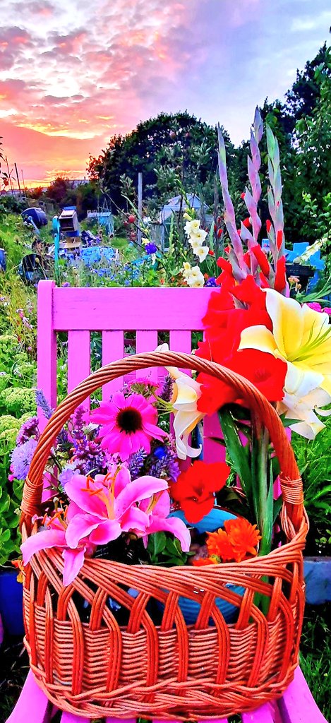 lovely_plot's tweet image. Really miserable and grey today... 
so here is my #ThrowbackThursday to peak summer on the plot 😊
#flowerphotography #gardening