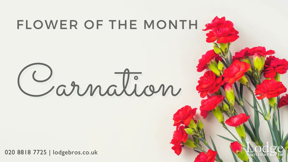 Lodge Brothers tweet media