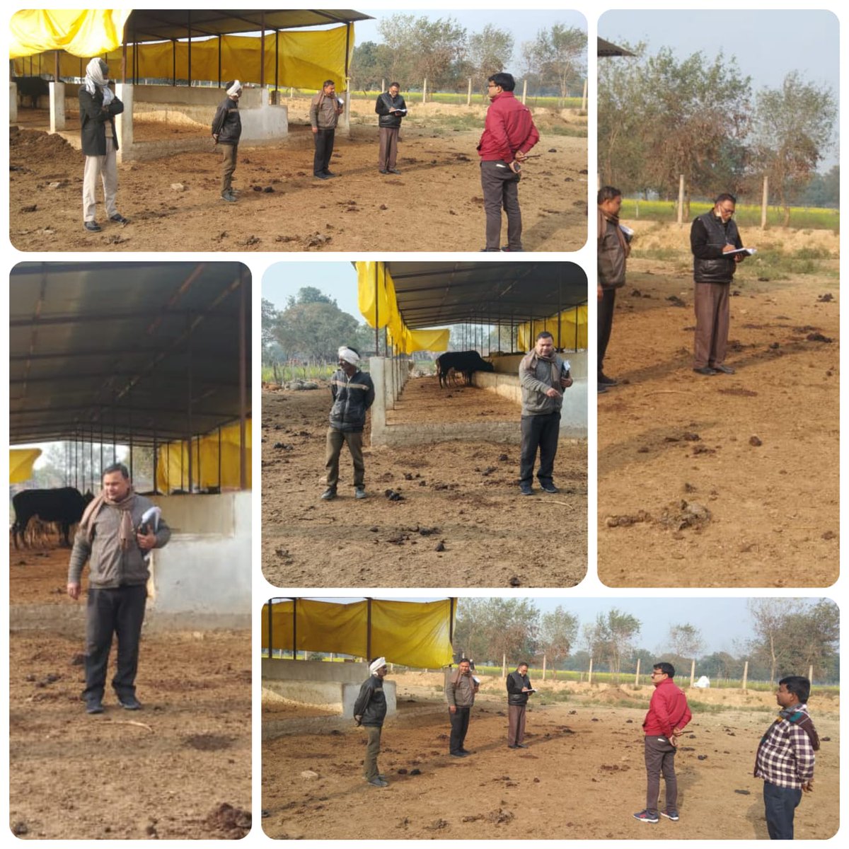 आज दिनांक 27.01.2022 को उपनिदेशक(प0) प्रयागराज मण्डल द्वारा जनपद कौशाम्बी के विकास खण्ड सरसावा की ग्राम पंचायत लौंगवां में गोशाला का निरीक्षण किया गया।