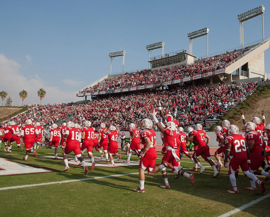 Felix Lepper tweet media