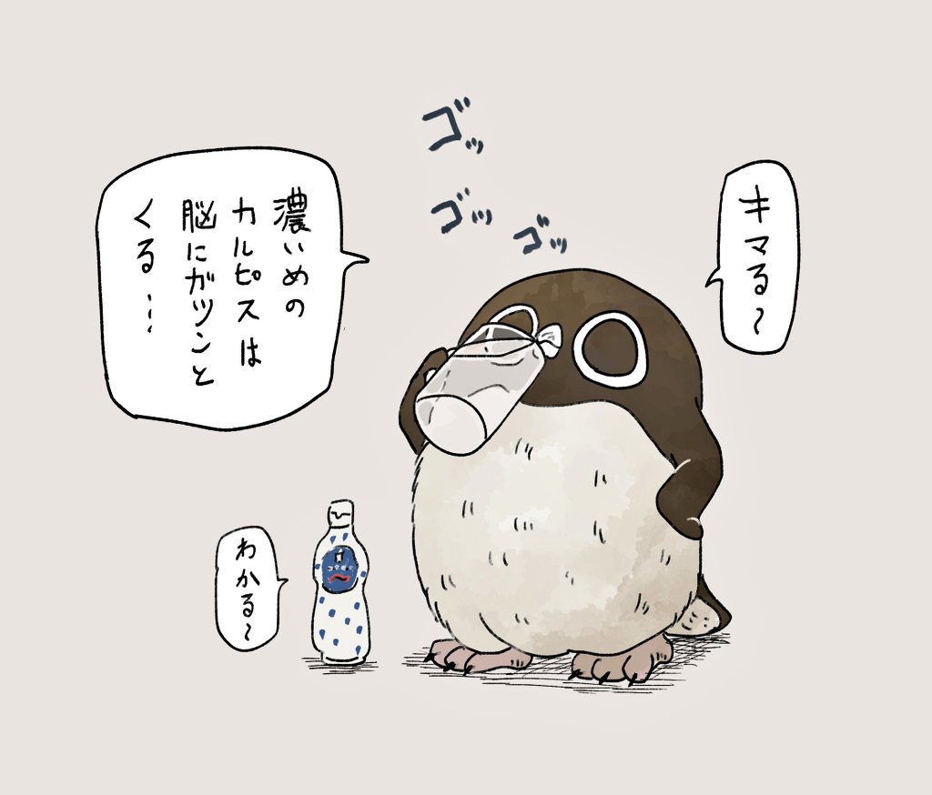 【濃いめ】
カルピスをグビるアデリーペンギン。疲れたときは原液増しまし濃いめが効く〜!🥤
#アデリーペンギン 