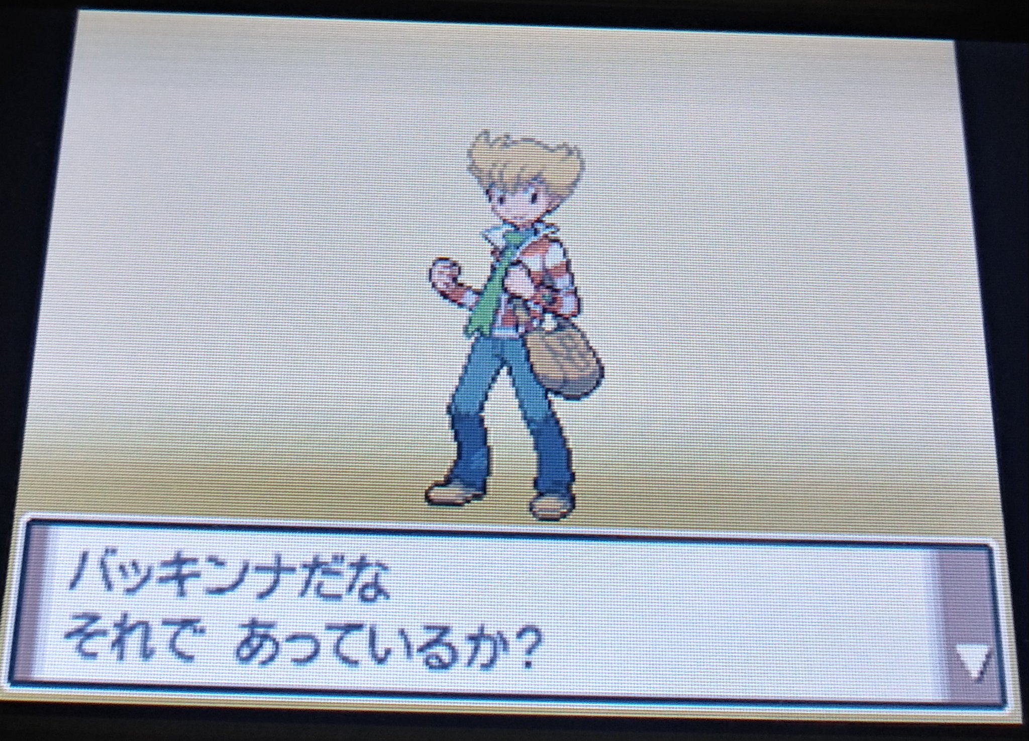 末葉灰猫primary ポケモンプラチナ その0 リスタートしました ナナカマド博士 との このやり取り懐かしいww ライバルの名前は バッキンナ にしました B T Co Xhteroyqyv Twitter