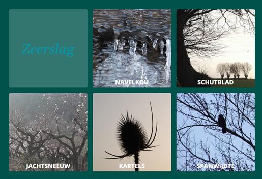 Ik maakte voor de poëzieweek (en daarna) een geschenk dat uitnodigt te kijken, te lezen, te luisteren én te schrijven: monicaboschman.nl/zeerslag/zeers… #schrijven #Poezieweek #gedichtendag