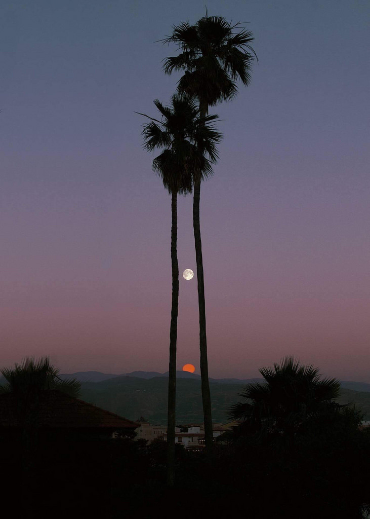 archillect's tweet image. 