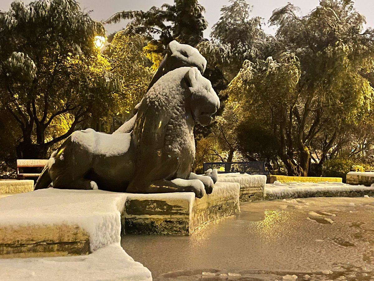 Elad Gross tweet media