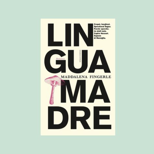 italosvevolibri's tweet photo. Incursioni, Italo Svevo Edizioni https://t.co/pT3mPtX1V1