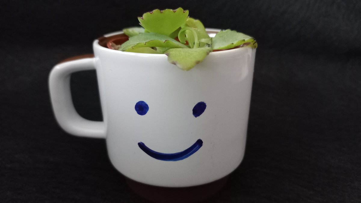 Maesvaevla's tweet photo. https://t.co/Ci5ncWQgXJ