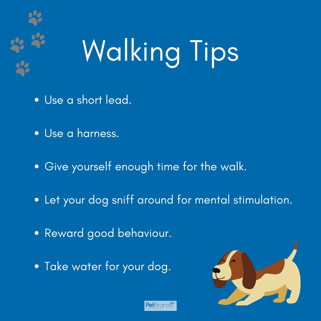 Need some tips for walking your pooch? We've got you covered!

#PetBrands #Pets #WalkYourDogMonth