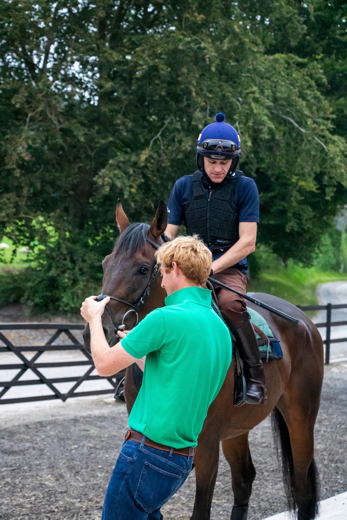 As a former jockey, I have always tried to use my experience to decide where to enter and run my horses. The inside knowledge to race riding, understanding different courses and what happens in a race is invaluable.