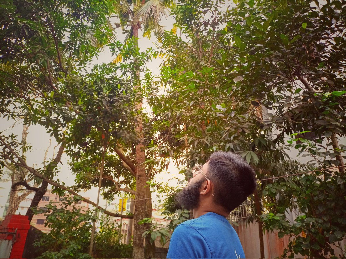IrtizaSayeed's tweet photo. One afternoon .
Today's picture taken by my mother . 

_
#irtizas_vlog  #irtizasvlog  #Sylhet_  #photo_  #picture_ #まとめ https://t.co/LwjV64Xt3b