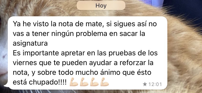 martinabarquiin's tweet photo. he sacado un 4,9 en mate y este ha sido la respuesta de mis padres https://t.co/UpVmKYrRHf