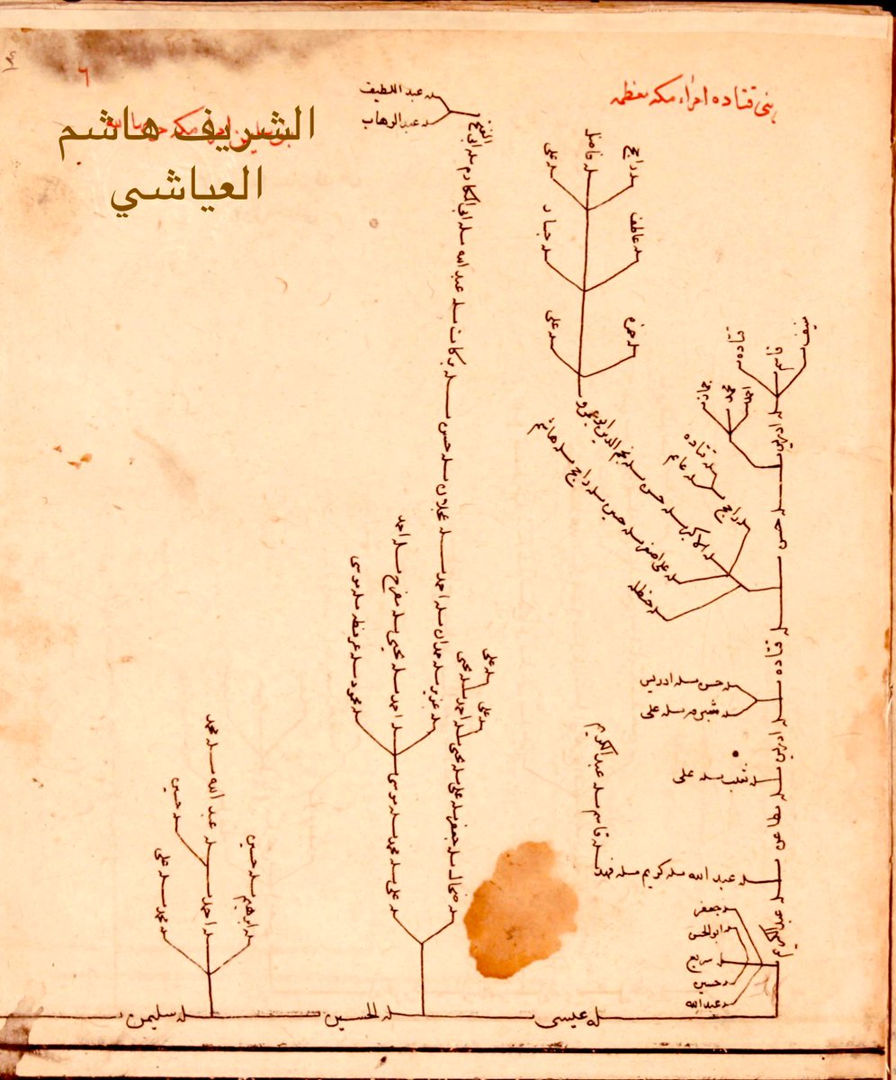 تشجير جميل للأشراف القتادات أمراء مكة المكرمة والحجاز الذين امتد حكمهم من عام 597 هجري الى عام 1344هجري.

والأشراف القتادات أكثر الفروع التي اهتم العلماء والمؤرخون بأنسابهم وتاريخهم.
(مخطوط)