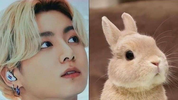 KoreGaleri's tweet photo. Jungkook'un tavşan olduğuna kanıtlar; https://t.co/UIw3fMFM2T