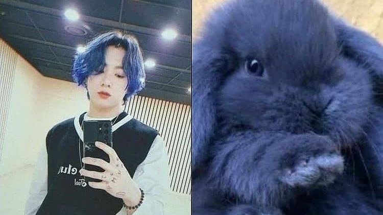 KoreGaleri's tweet photo. Jungkook'un tavşan olduğuna kanıtlar; https://t.co/UIw3fMFM2T