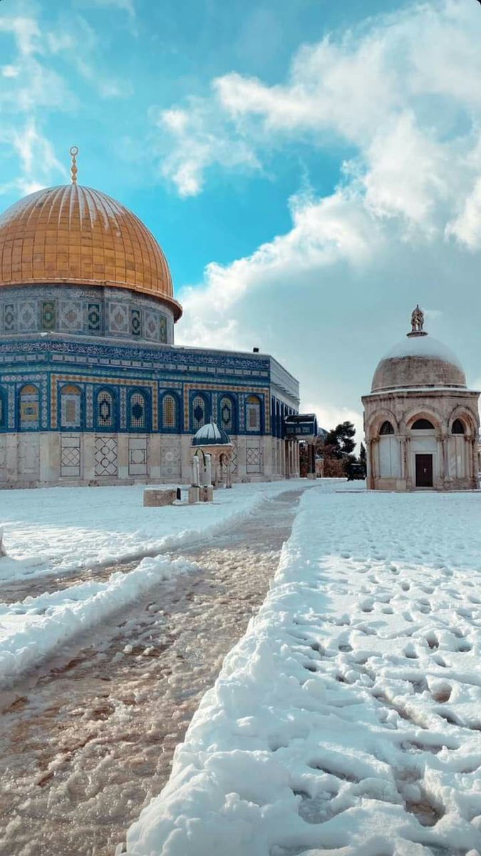 MyPalestine0's tweet photo. قبة الصخرة تتلألأ تحت زخات الثلوج 🇵🇸😍 https://t.co/fxoq3kG815