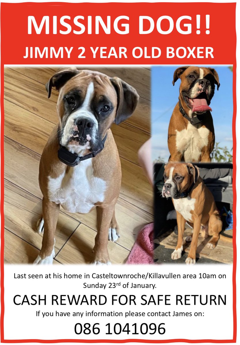 JamesDeane130's tweet photo. CASH REWARD for safe return with no questions asked. Somebody’s got to know something. #bringjimmyhome https://t.co/LGWULaSMuO