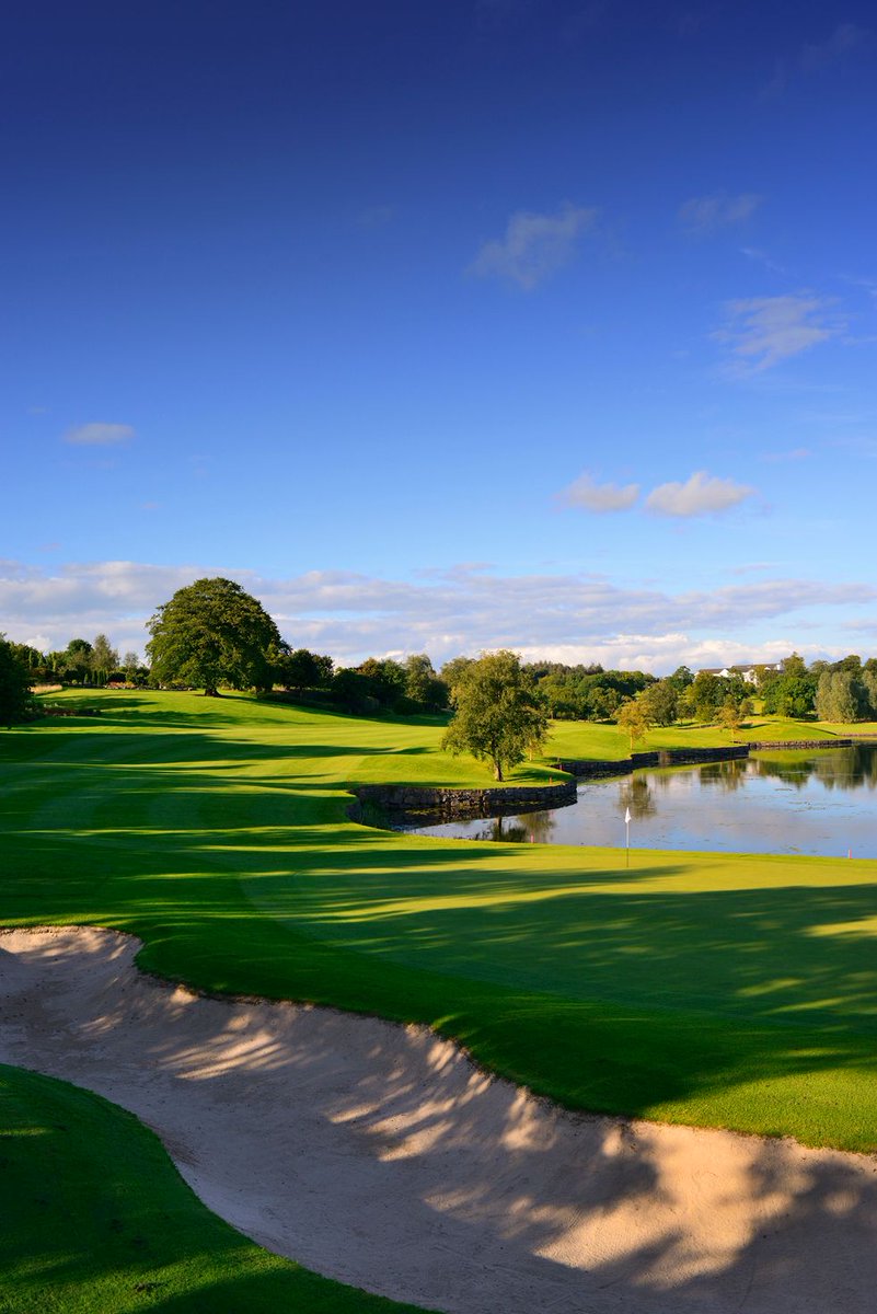 What does freedom mean to you?💚 #ireland #travel #celebratingfreedom
<a href="/BayCarna/">Carna Bay Hotel</a> <a href="/TheBayviewCork/">The Bayview Hotel</a> <a href="/RossLakeHouseHo/">RossLakeHouseHotel</a> <a href="/Slieverussell/">Slieve Russell Hotel</a> <a href="/TourismIreland/">Tourism Ireland</a>