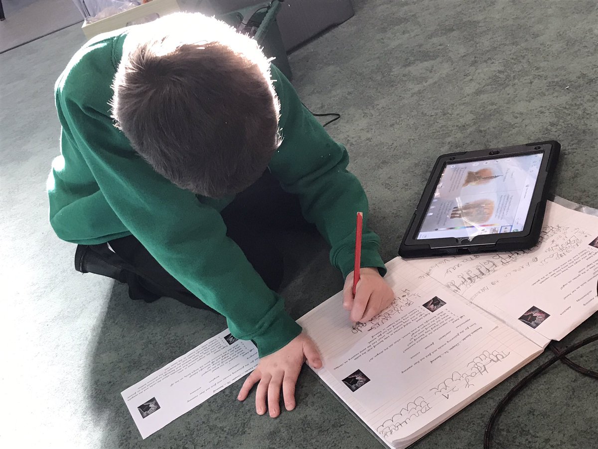 @CaldiY3 tweet media