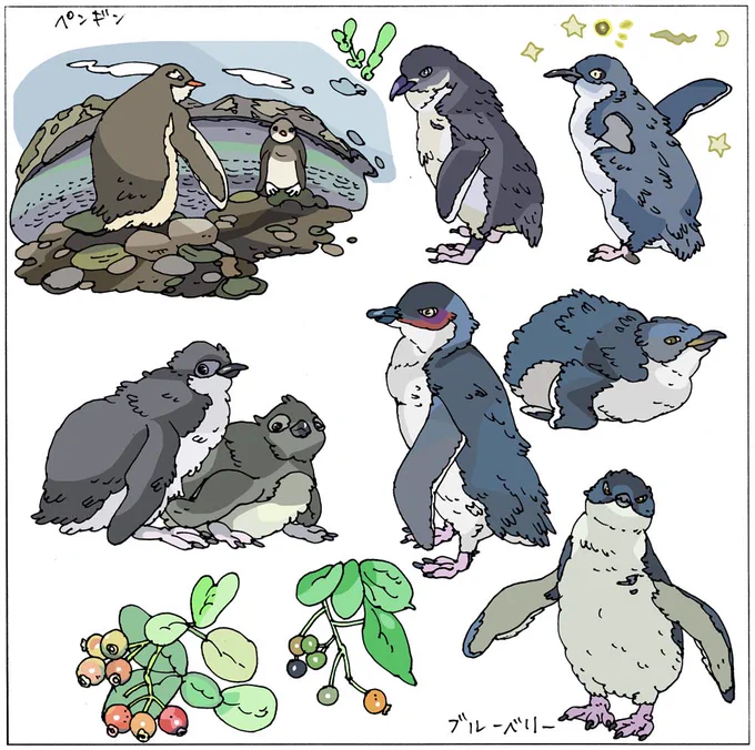 ペンギンとブルーベリー🐧 
