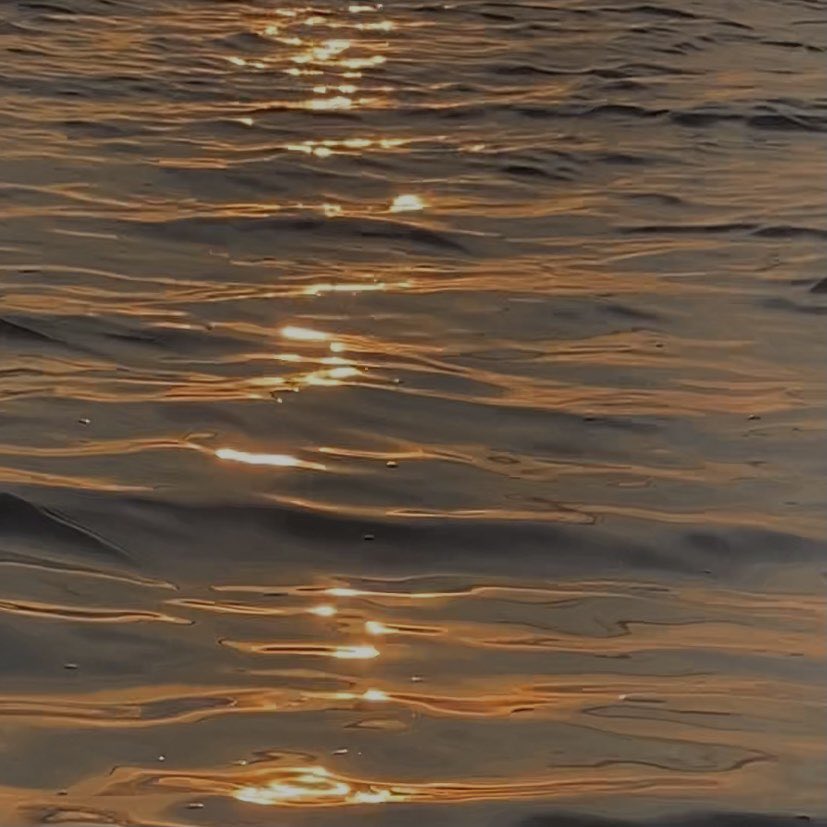 sun                            to                         sea