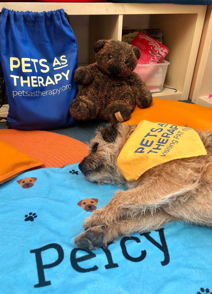 PetsAsTherapyUK's tweet photo. Sometimes you need to rest hard to party hard! π€
Handsome @percy_the_pat_dog re-charges his batteries in between #Read2Dogs reading groups. πΎ
Thank you, #PATFamily for your exceptional work! Thanks to you, children around the country are finding confidence in reading! π π https://t.co/eVuxE6DAJr