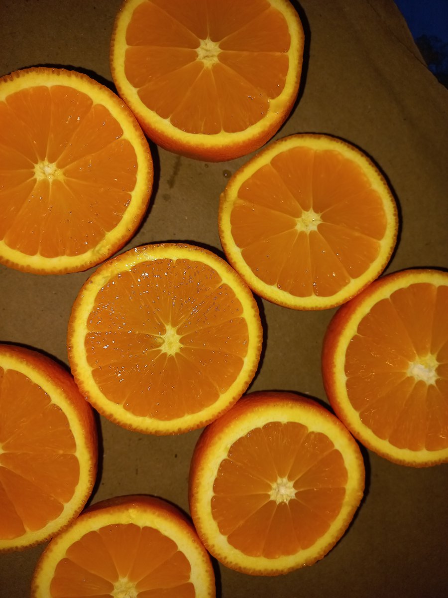 Fresh Arrival of Moroccan Salustianas. Sizes 70/80/90/100 available 🍊

#citrus #morocco #oranges