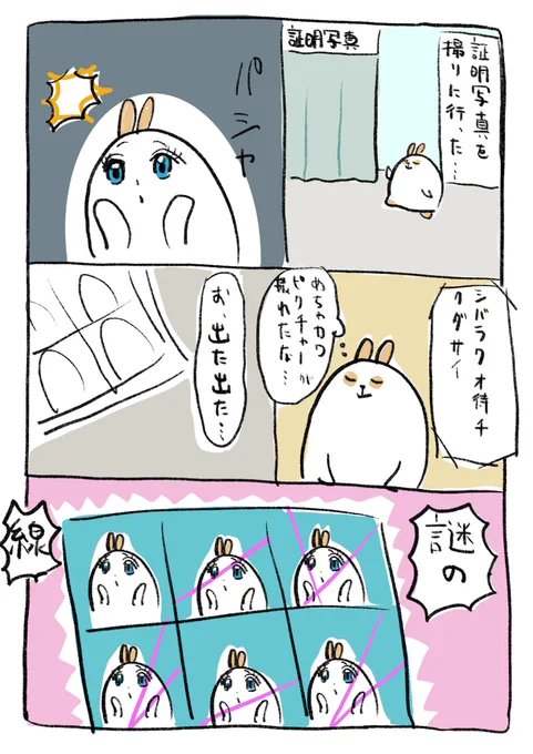 証明写真を撮り直した漫画です。 